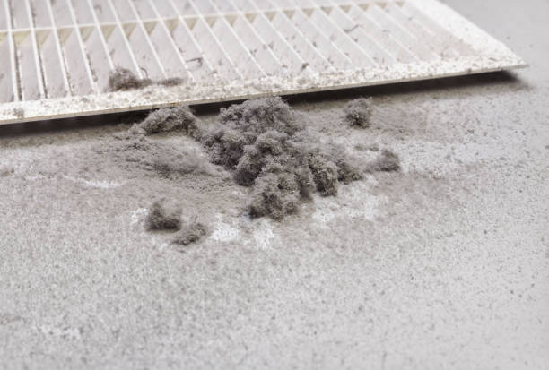 Best Residential Air Duct Cleaning  in Violet, LA