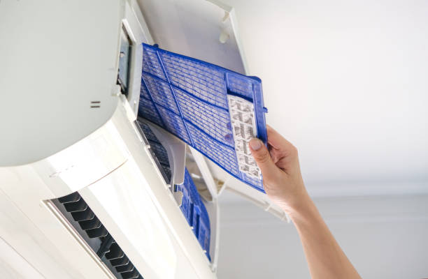 Best Air Duct Cleaning Near Me  in Violet, LA